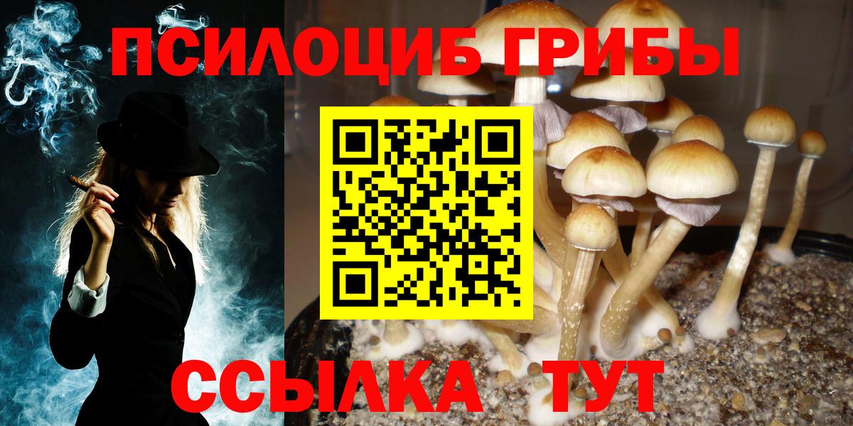 Псилоцибиновые грибы Cubensis Корсаков