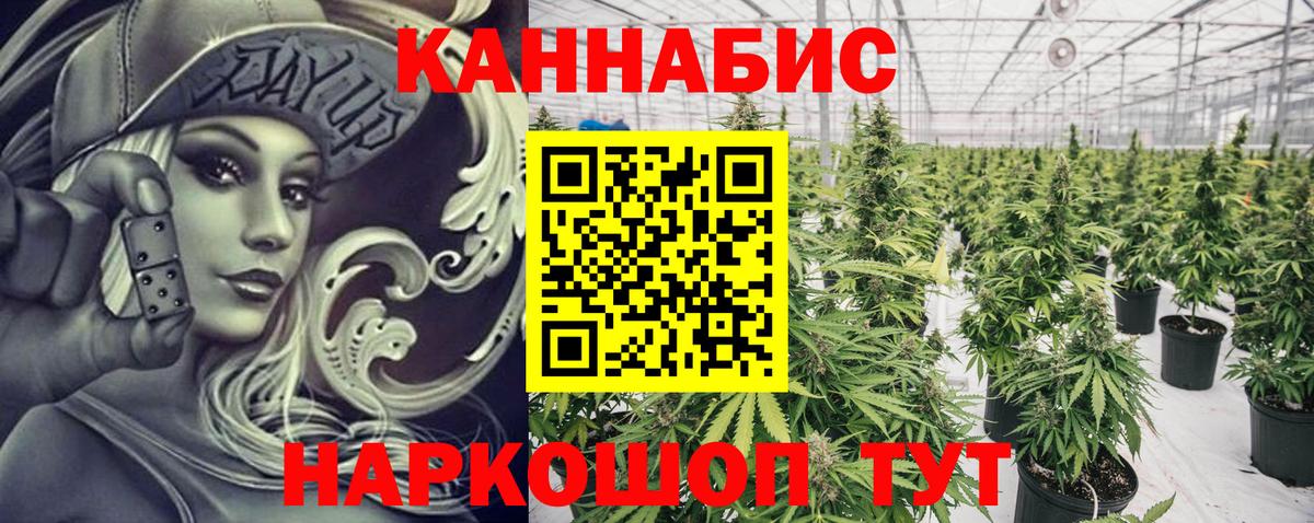 Шишки марихуана план Корсаков